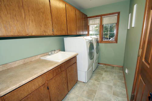 Lower level fireplace